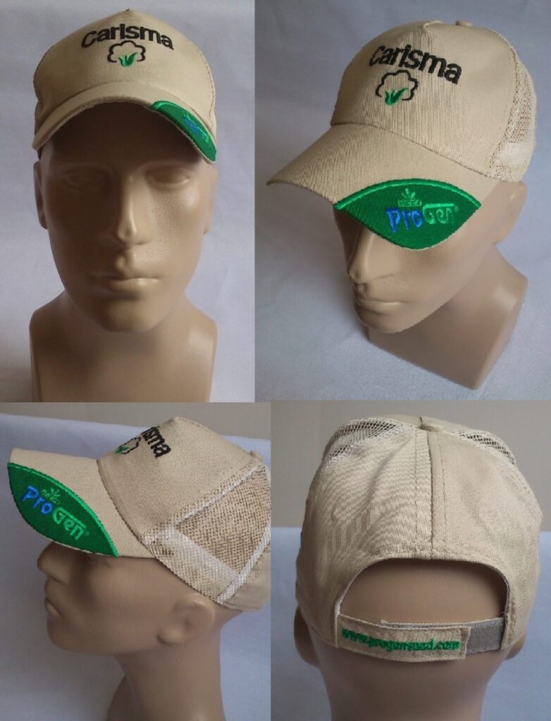 mesh cap, trucker cap with embroidery, embroidery on the visor
